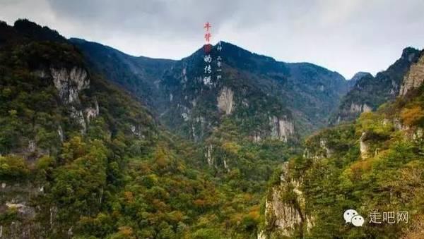 应对低温:种植基地加强防寒,多举措保障市场供应!